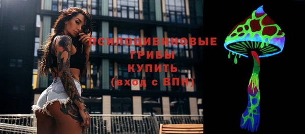 прущая мука Саяногорск