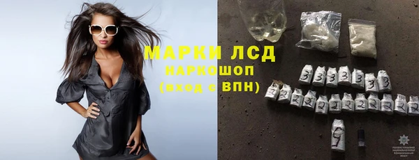 гашик Сатка