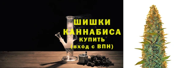 гашик Сатка