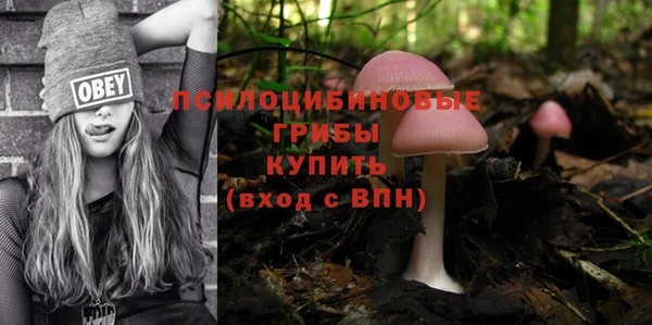 ALPHA-PVP Богородицк