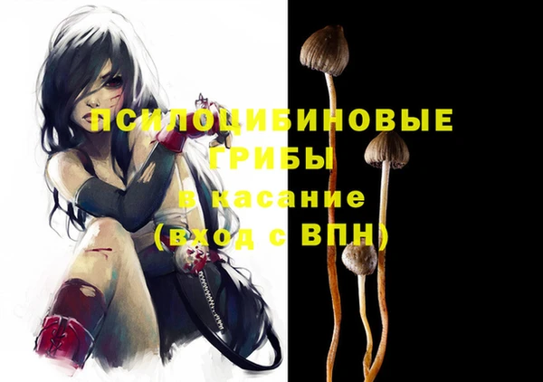 гашик Сатка