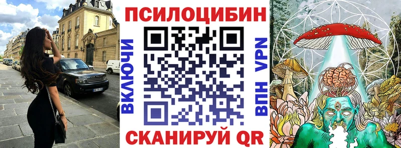 Псилоцибиновые грибы Psilocybine cubensis  Яранск 